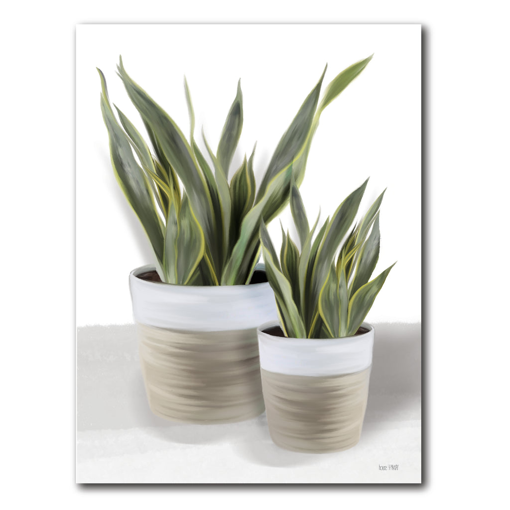 Snake Plant II - Artboard