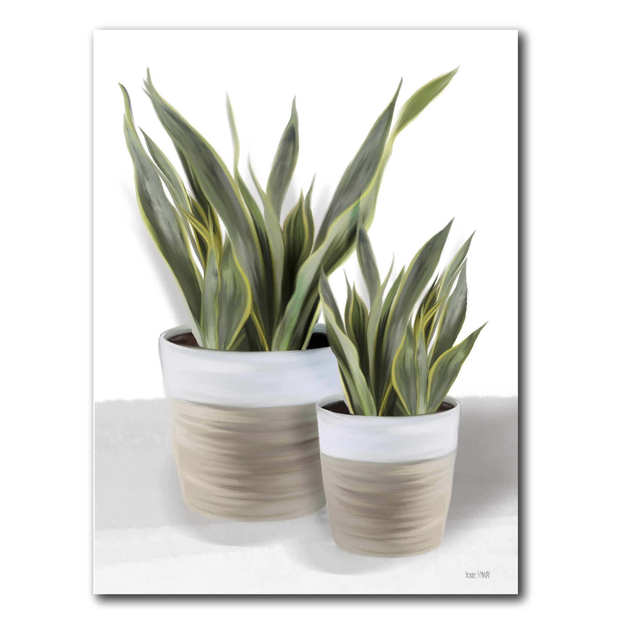 Snake Plant II - Artboard