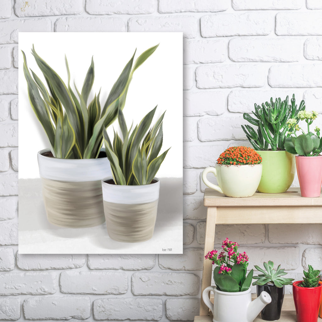 Snake Plant II - Artboard