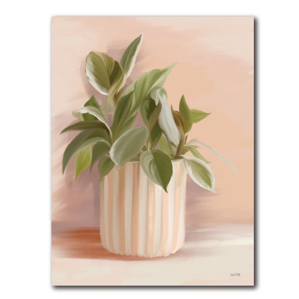 Striped Bohemian Plant I - Artboard