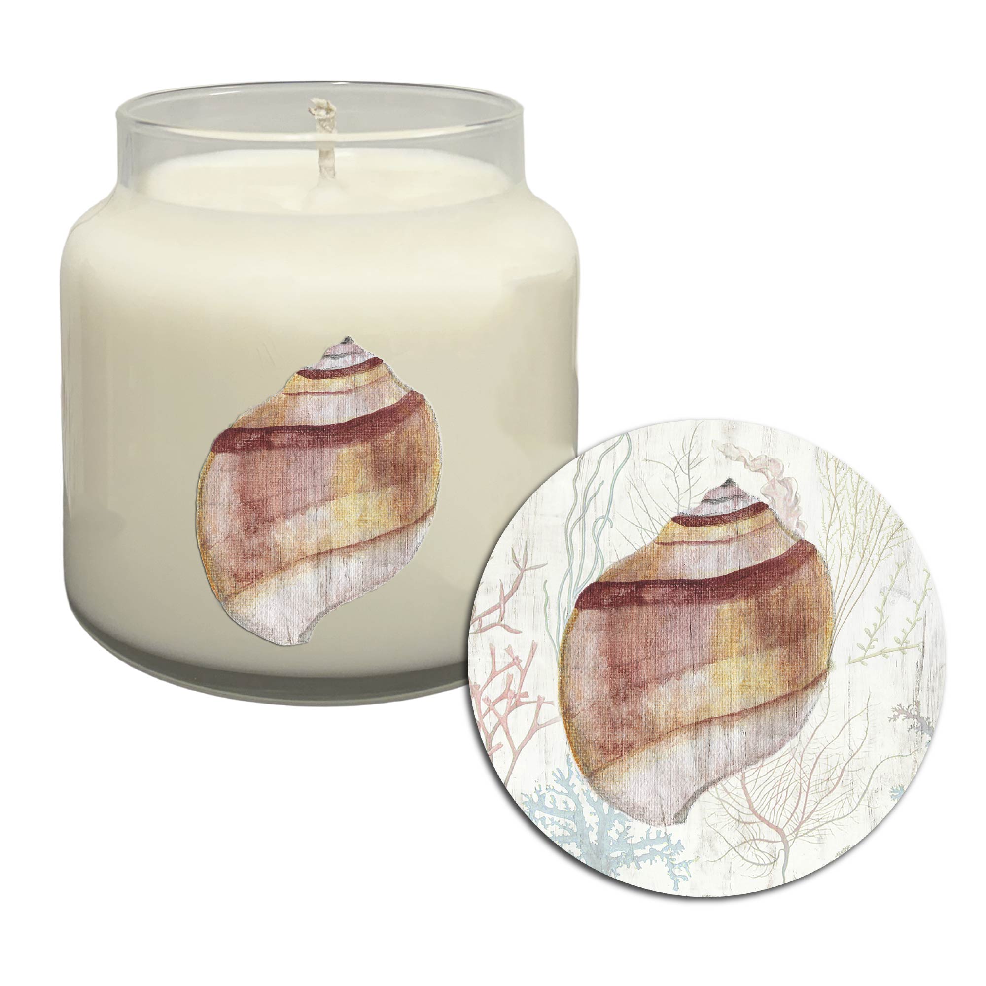 Shell - Coconut and Jasmine 14oz Soy Wax Candle
