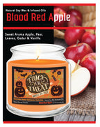 Fright Night V 14 oz Candle Glass Jar with Brushed Silver Metal Lid