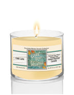 Harvest Delight VII 9.6 oz Soy Wax Candle in Glass Jar