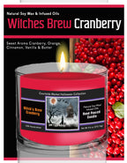 Harvest Moon I - Witches Brew Cranberry 9.6 oz Soy Wax Candle in Glass Jar