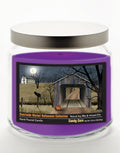 Halloween Collection Black Cat & Jack-O-Lantern - Candy Corn 14 oz Candle Glass Jar with Brushed Silver Metal Lid