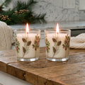 Winter Botanicals - Peppermint 9.6oz Candle 2 Piece Set