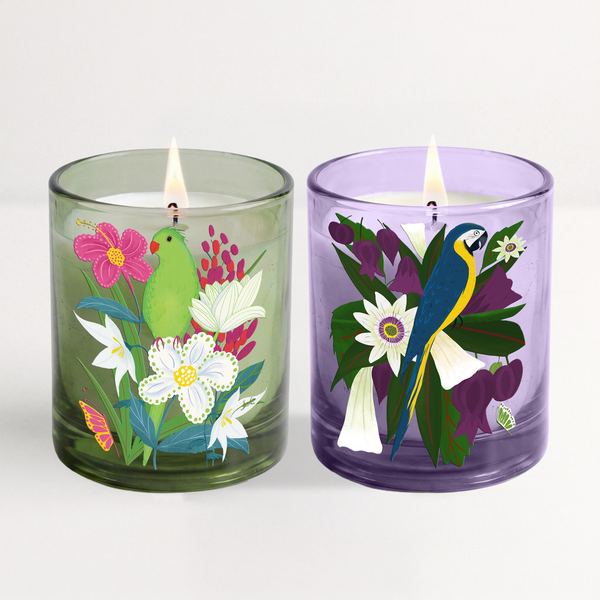 Parrot Paradise - Plumeria and Coconut, Guava and Passionfruit (2) 12oz Soy Wax Candle Set