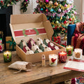 Courtside Market Classic Christmas - Candle Advent Calendar Gift Set