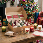 Courtside Market Classic Christmas - Candle Advent Calendar Gift Set