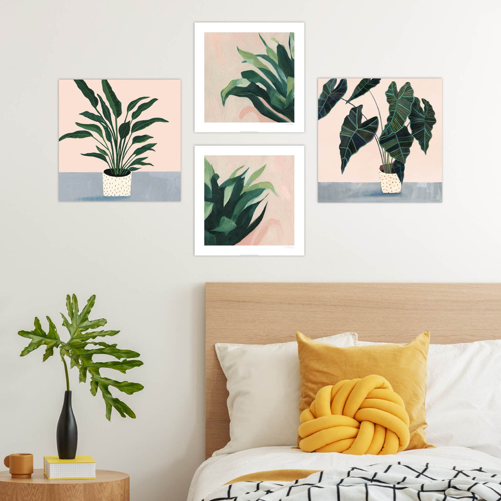 Plant Pinks - Print Set
