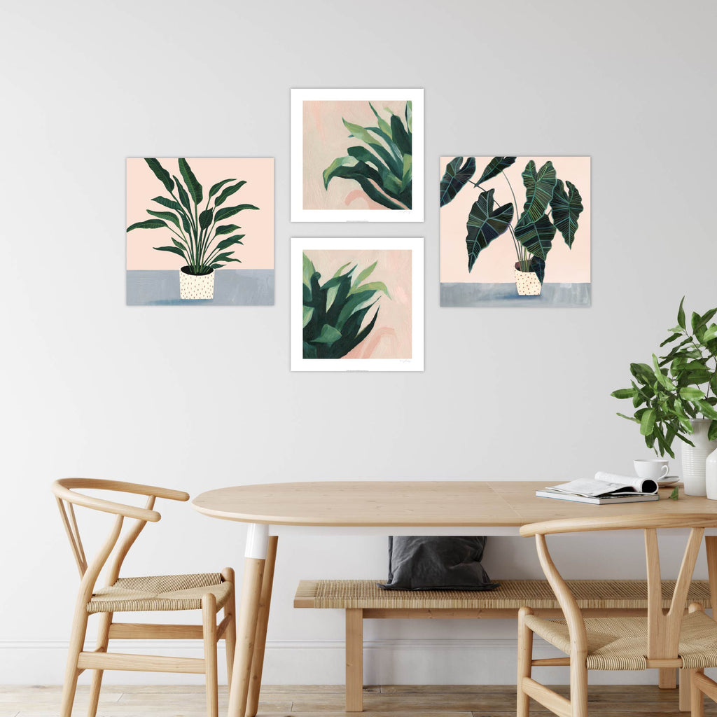Plant Pinks - Print Set