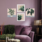 Plant Pinks - Print Set