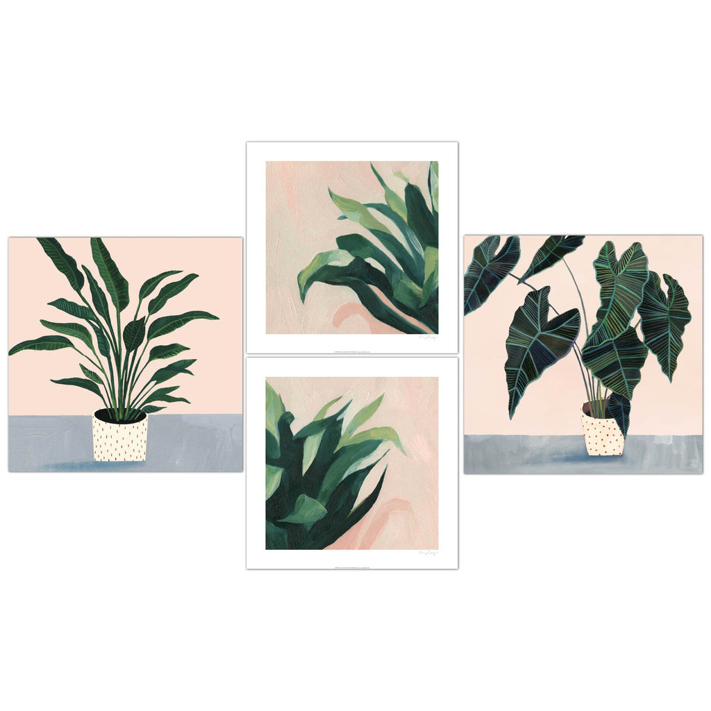 Plant Pinks - Print Set
