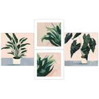 Plant Pinks - Print Set