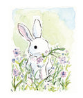 "Bunny" by Stephen Macquignon