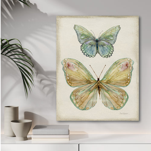 Botanical Butterfly II - Gallery Wrapped Canvas