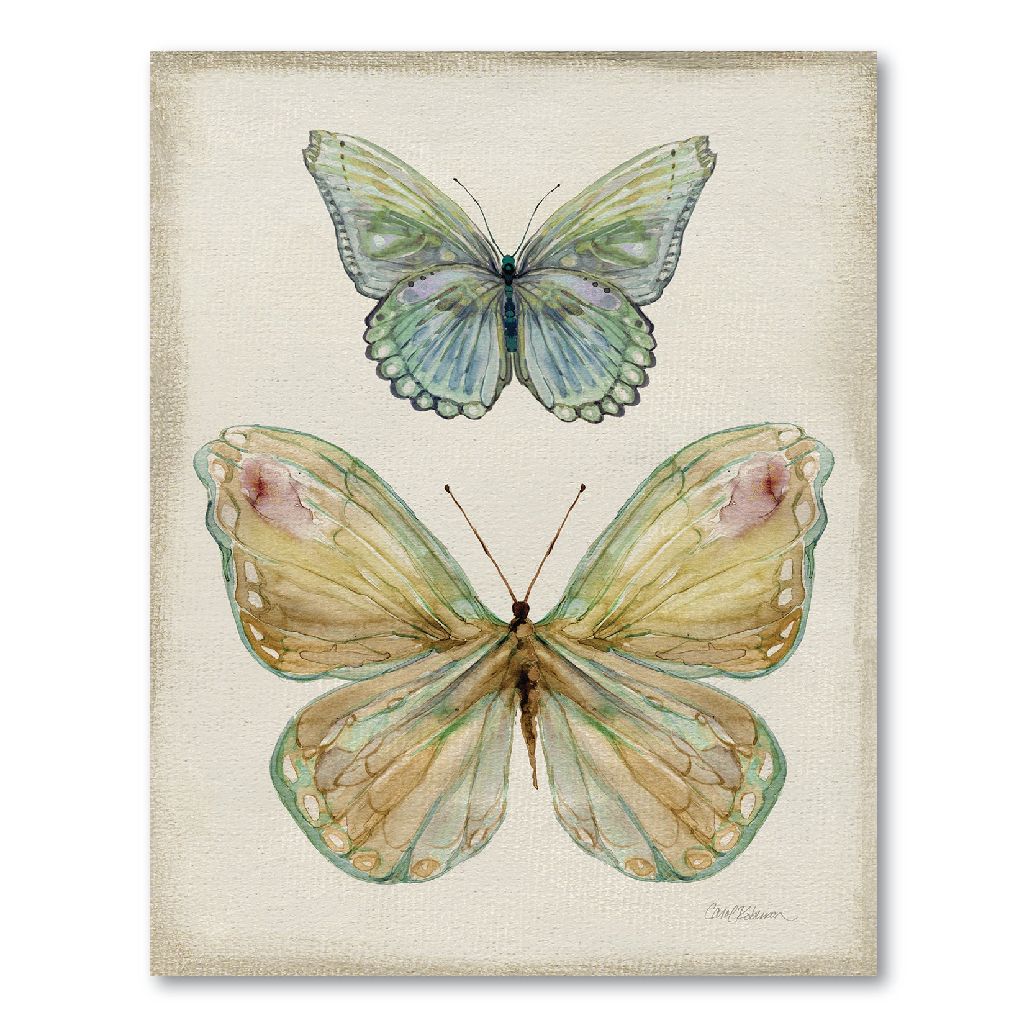 Botanical Butterfly II Gallery-Wrapped Canvas Wall Art