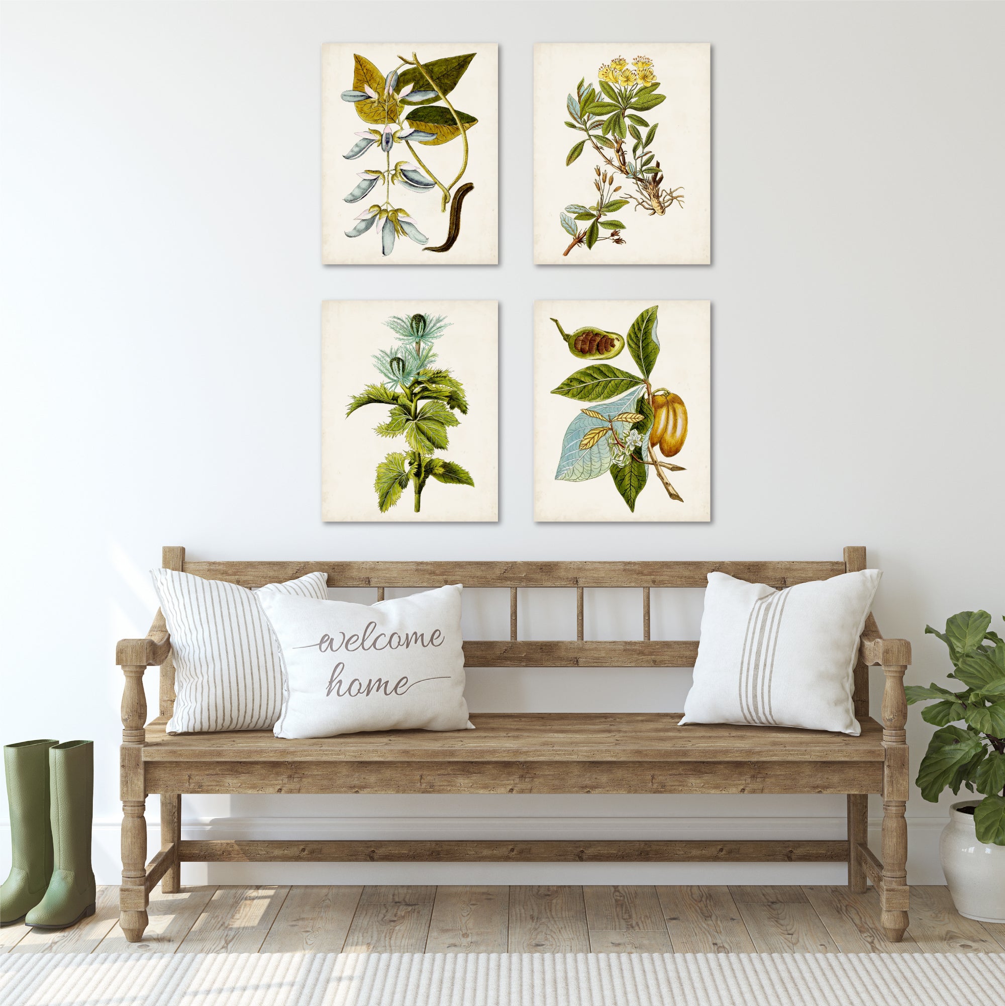 Antique Botanical Study III - 4pc Gallery Wrapped Canvas Set