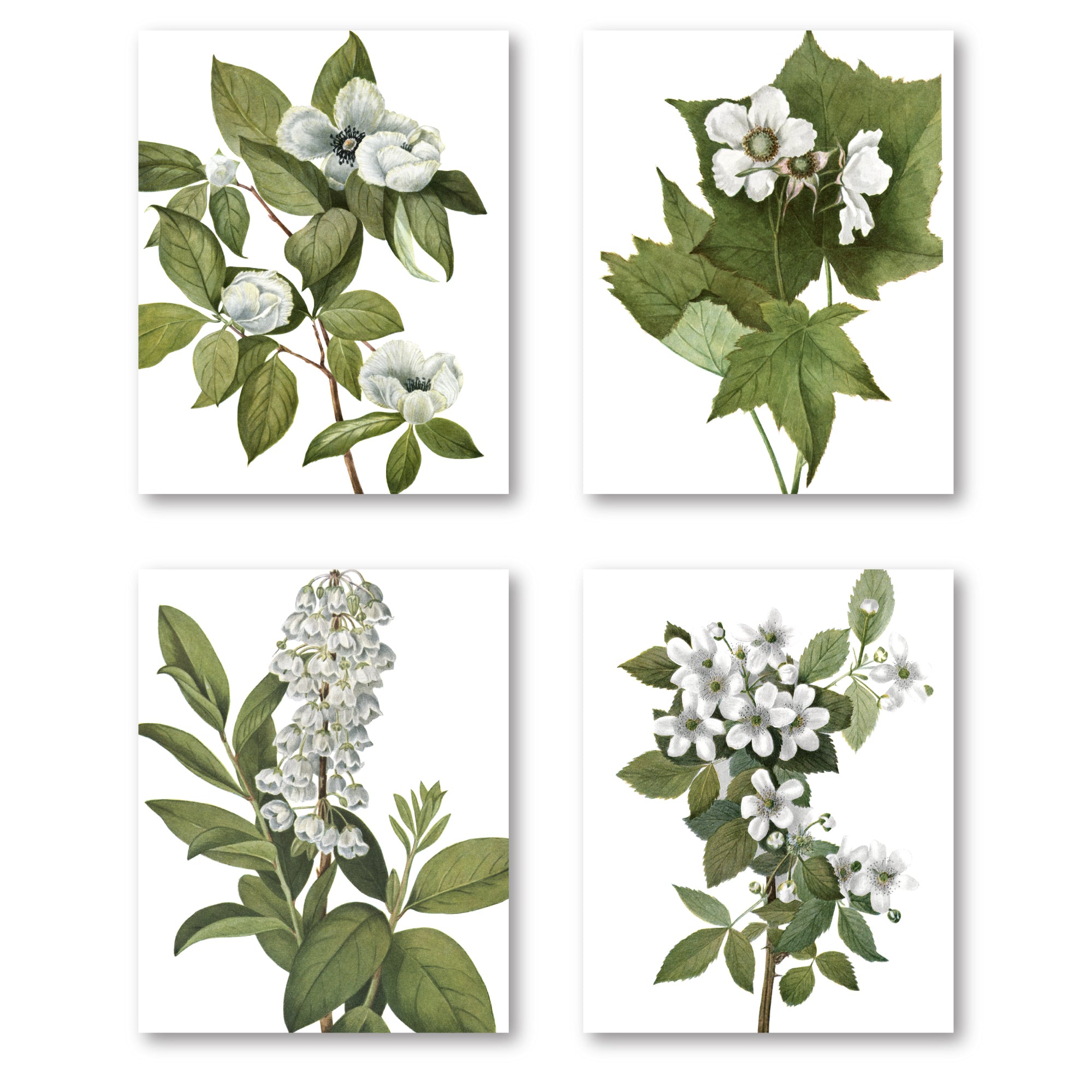 Delicate Foliage I - 4pc Gallery Wrapped Canvas Set