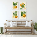 French Lemon Botanical I - 4pc Gallery Wrapped Canvas Set