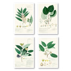 Foliage II - 4pc Gallery Wrapped Canvas Set