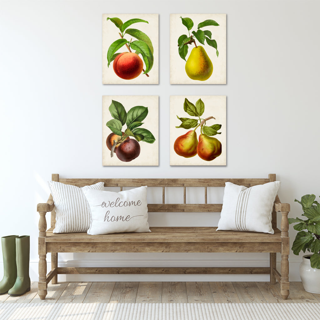Antique Fruit I - 4pc Gallery Wrapped Canvas Set