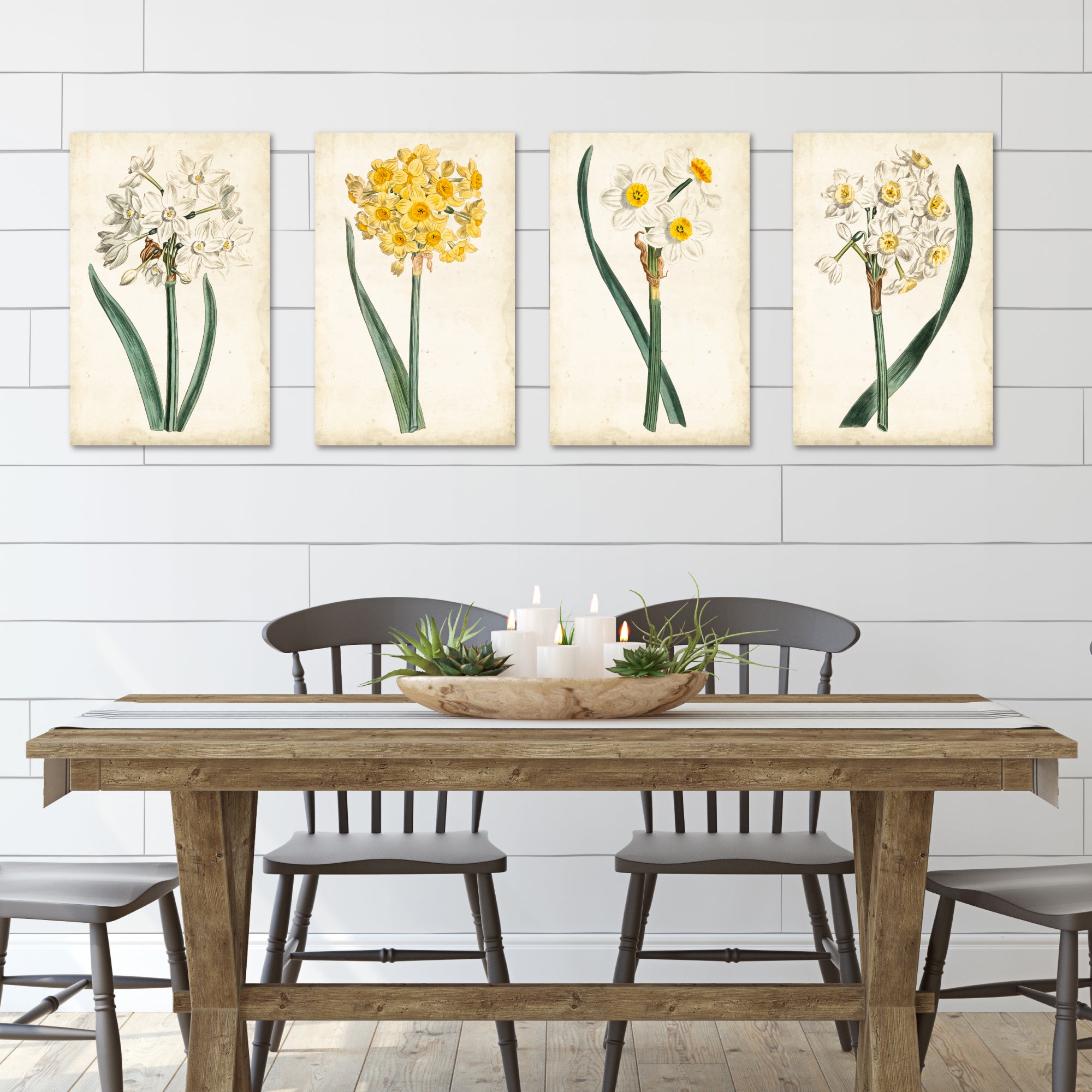 Curtis Narcissus I - 4pc Gallery Wrapped Canvas Set