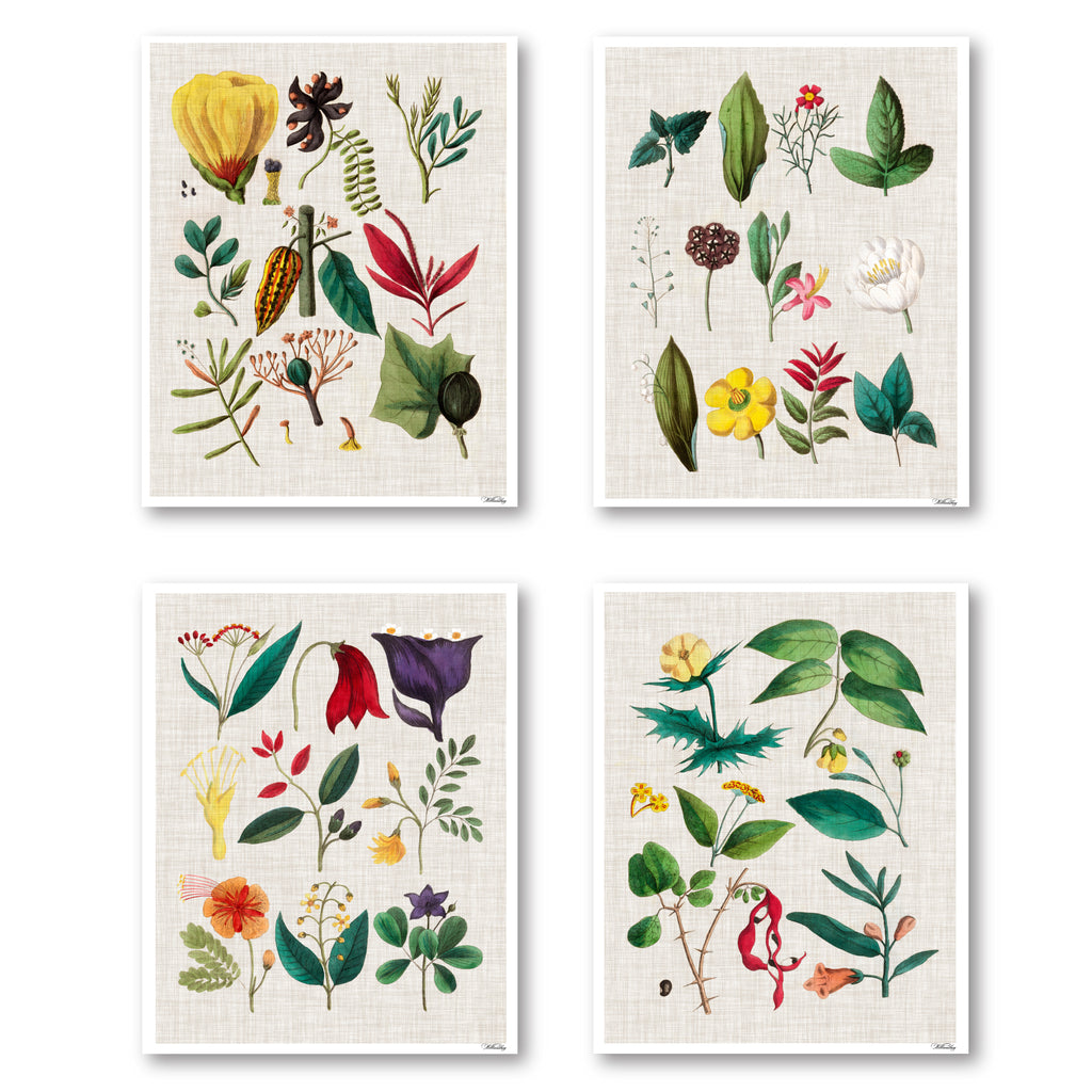 Floral Assemblage I - 4pc Gallery Wrapped Canvas Set