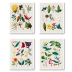 Floral Assemblage I - 4pc Gallery Wrapped Canvas Set