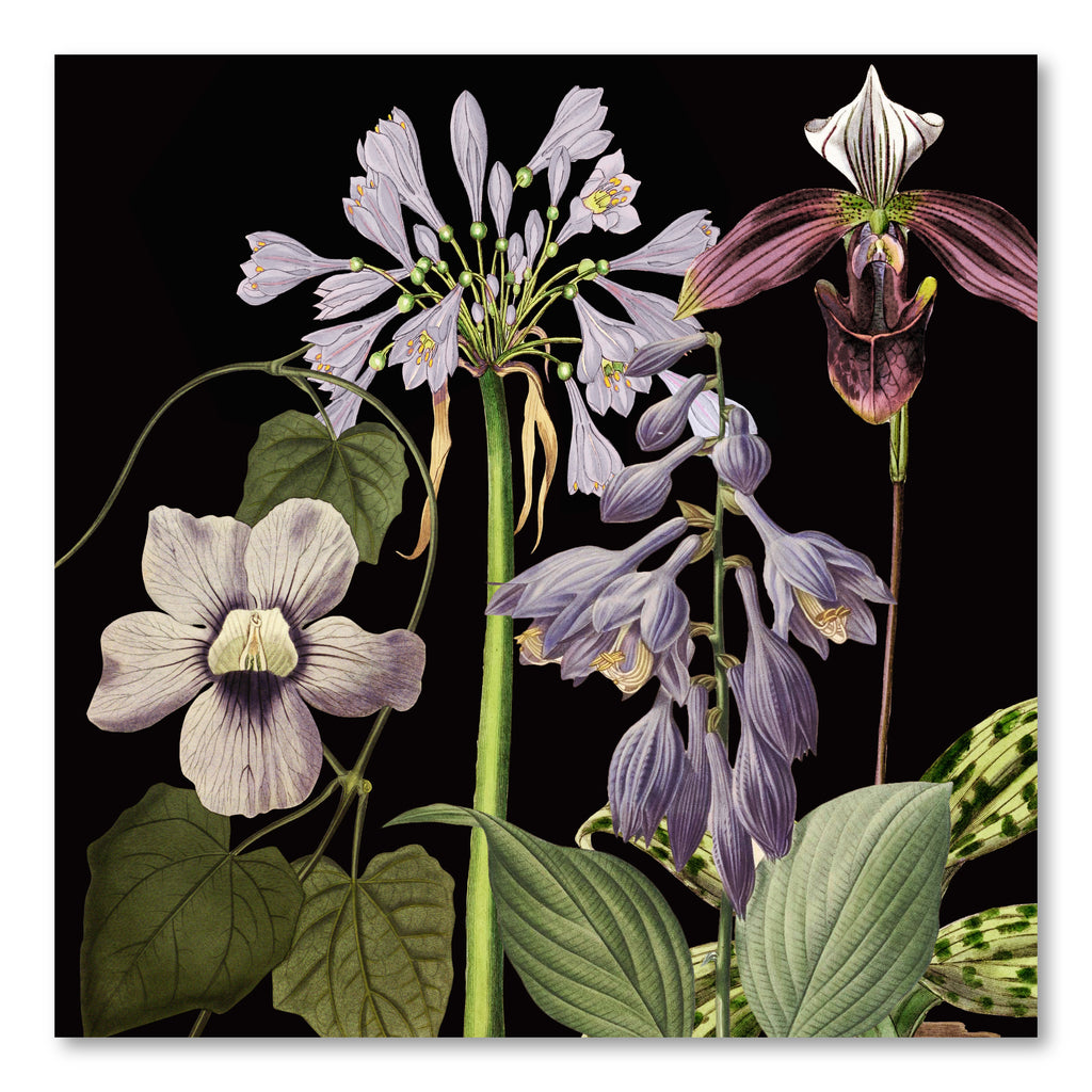 Twilight Botanica - Gallery Wrapped Canvas