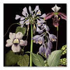 Twilight Botanica - Gallery Wrapped Canvas