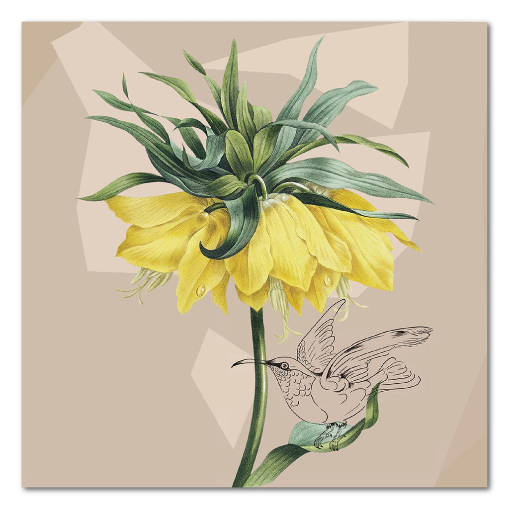 Fritillaria Imperialis - Gallery Wrapped Canvas