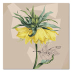 Fritillaria Imperialis - Gallery Wrapped Canvas