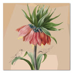 Fritillaria Imperialis II - Gallery Wrapped Canvas