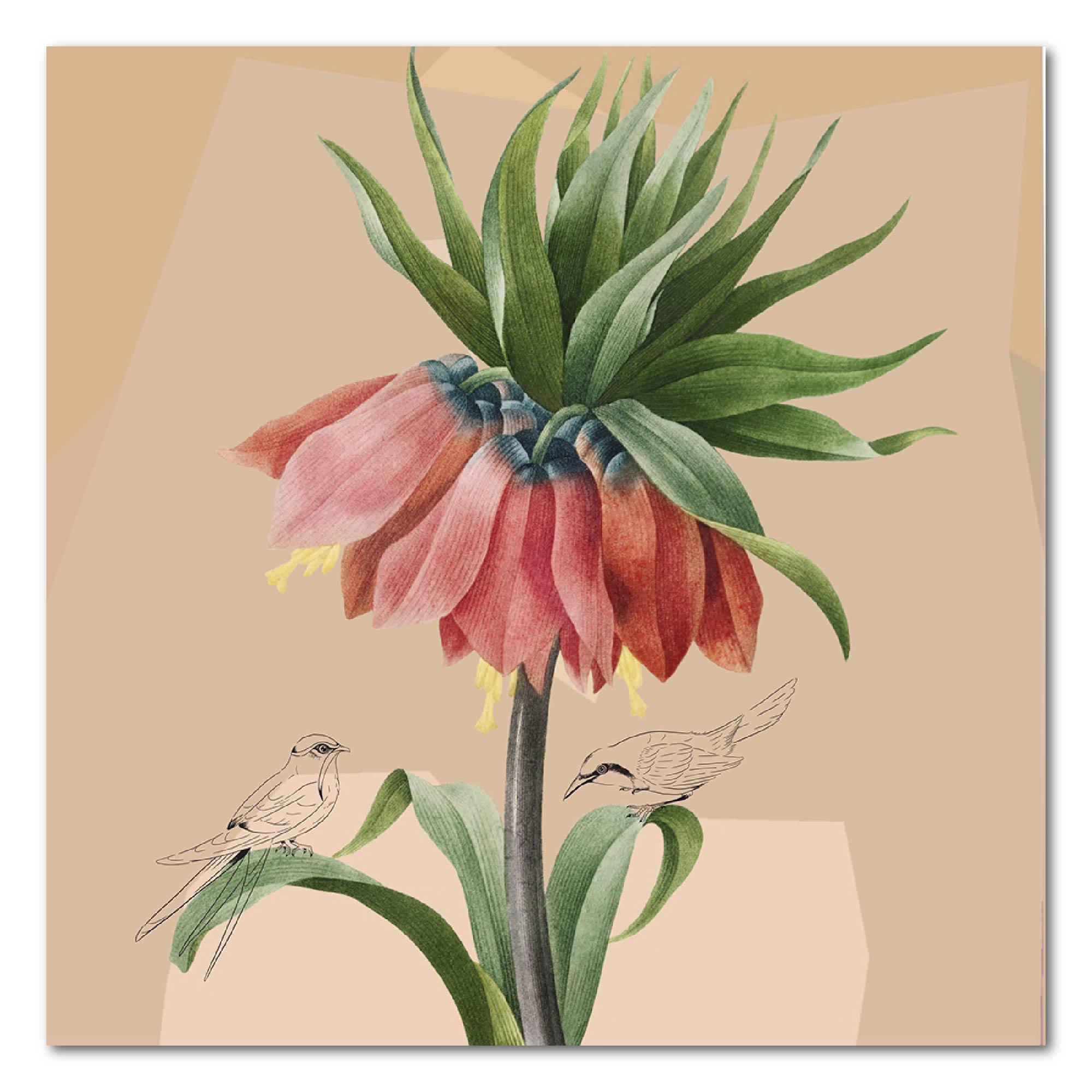 Fritillaria Imperialis II - Gallery Wrapped Canvas