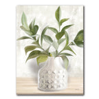 Ivory Ficus Stems - Gallery-Wrapped Canvas Wall Art