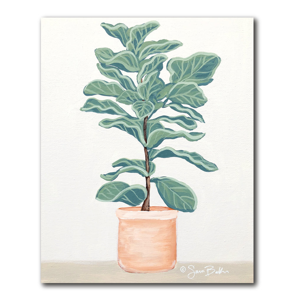 Fiddle Leaf Fig - Gallery-Wrapped Canvas Wall Art