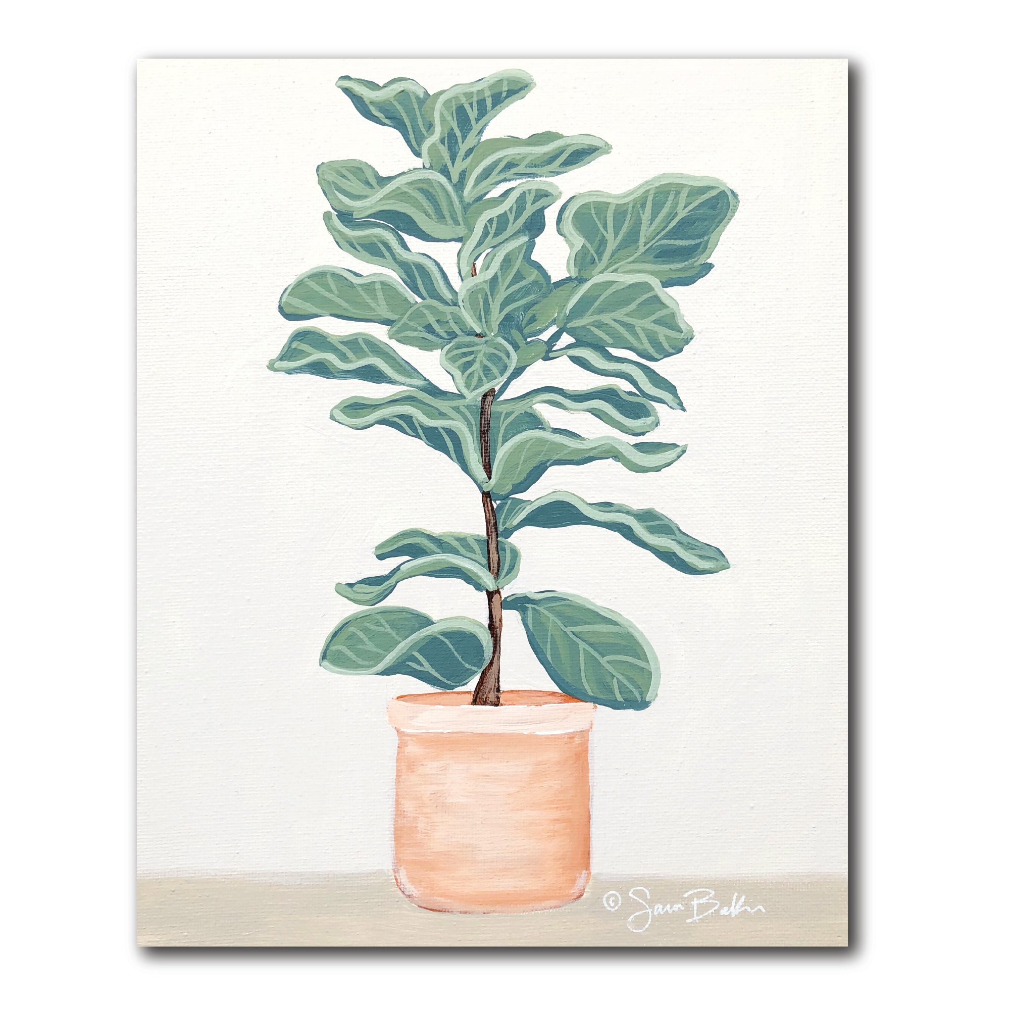 Fiddle Leaf Fig - Gallery-Wrapped Canvas Wall Art