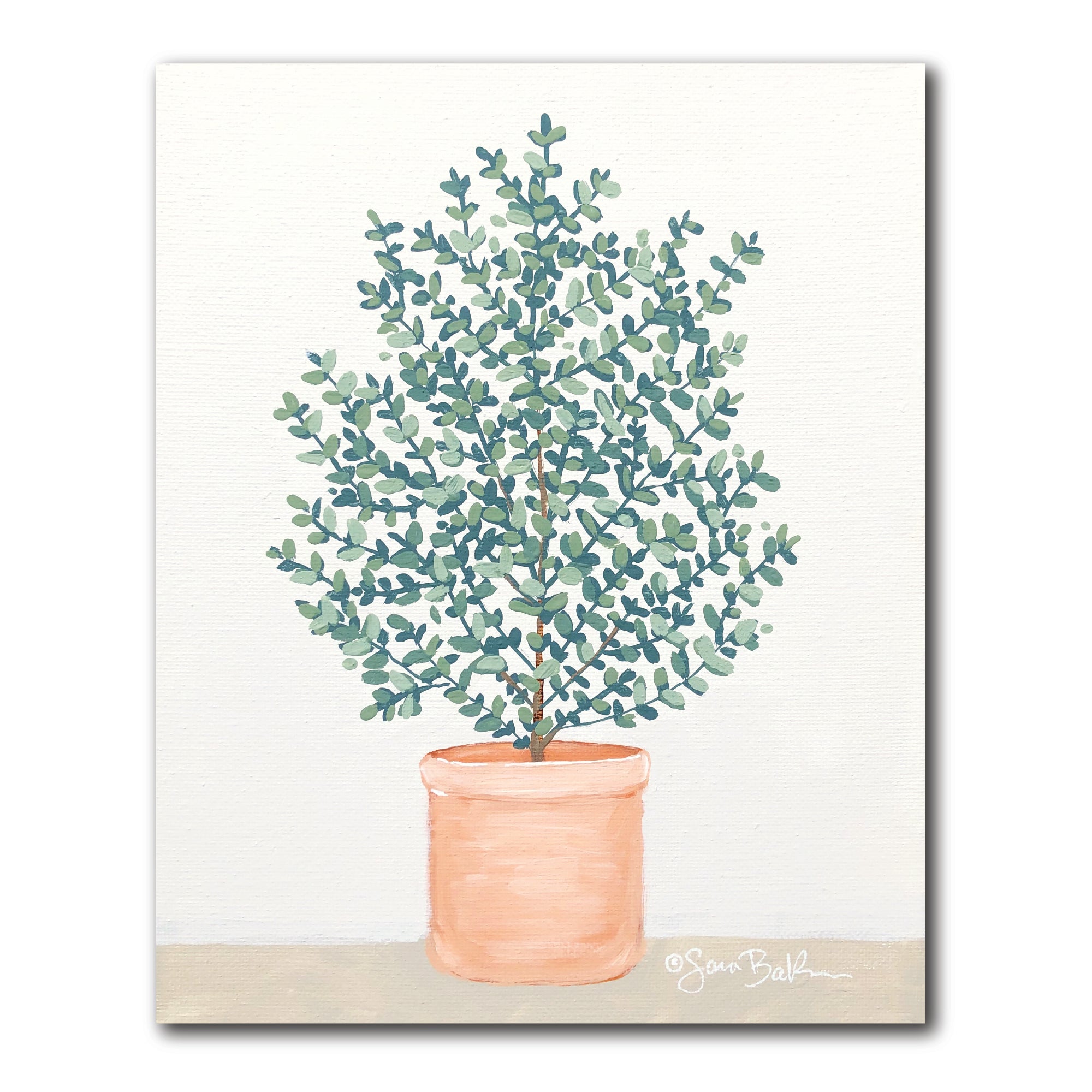 Eucalyptus - Gallery-Wrapped Canvas Wall Art
