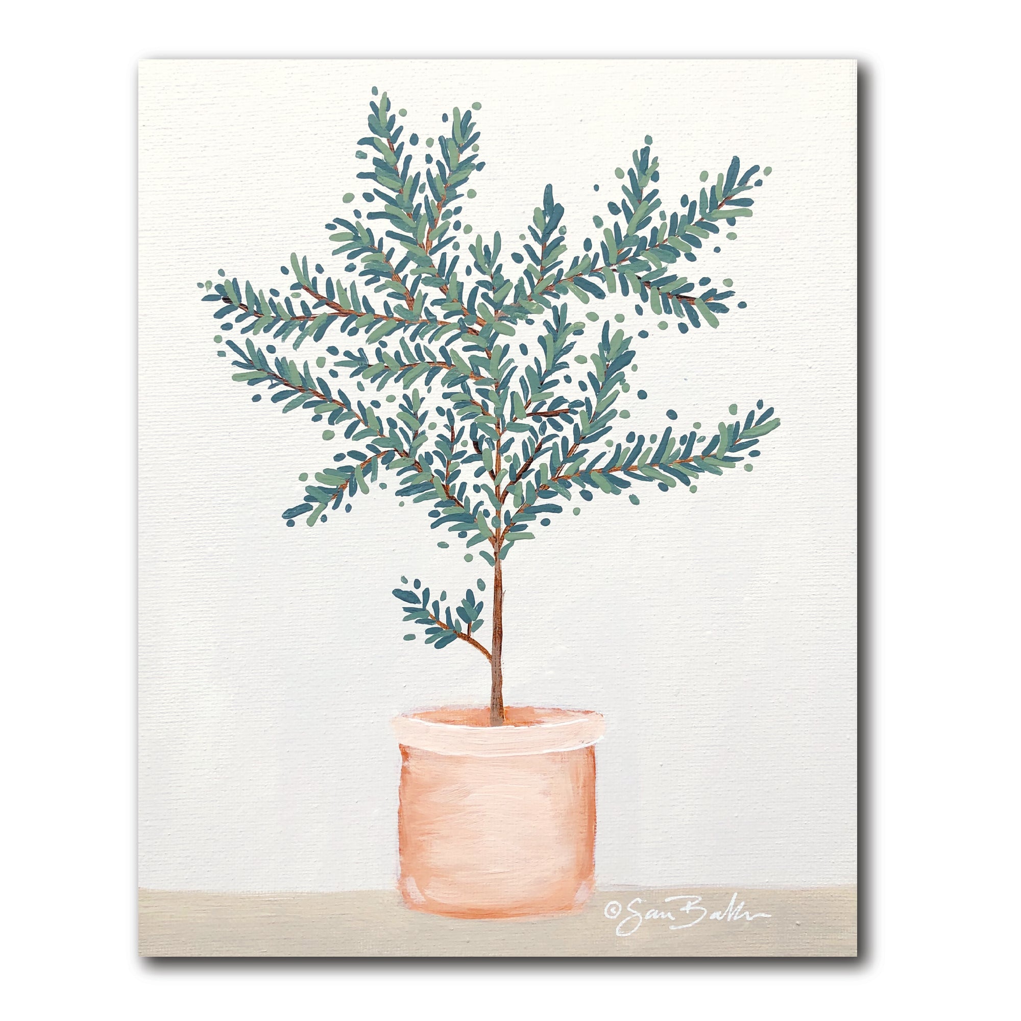 Olive Tree - Gallery-Wrapped Canvas Wall Art