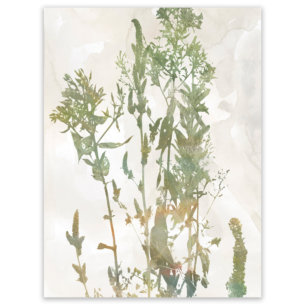 Untamed Garden I - Gallery-Wrapped Canvas Wall Art