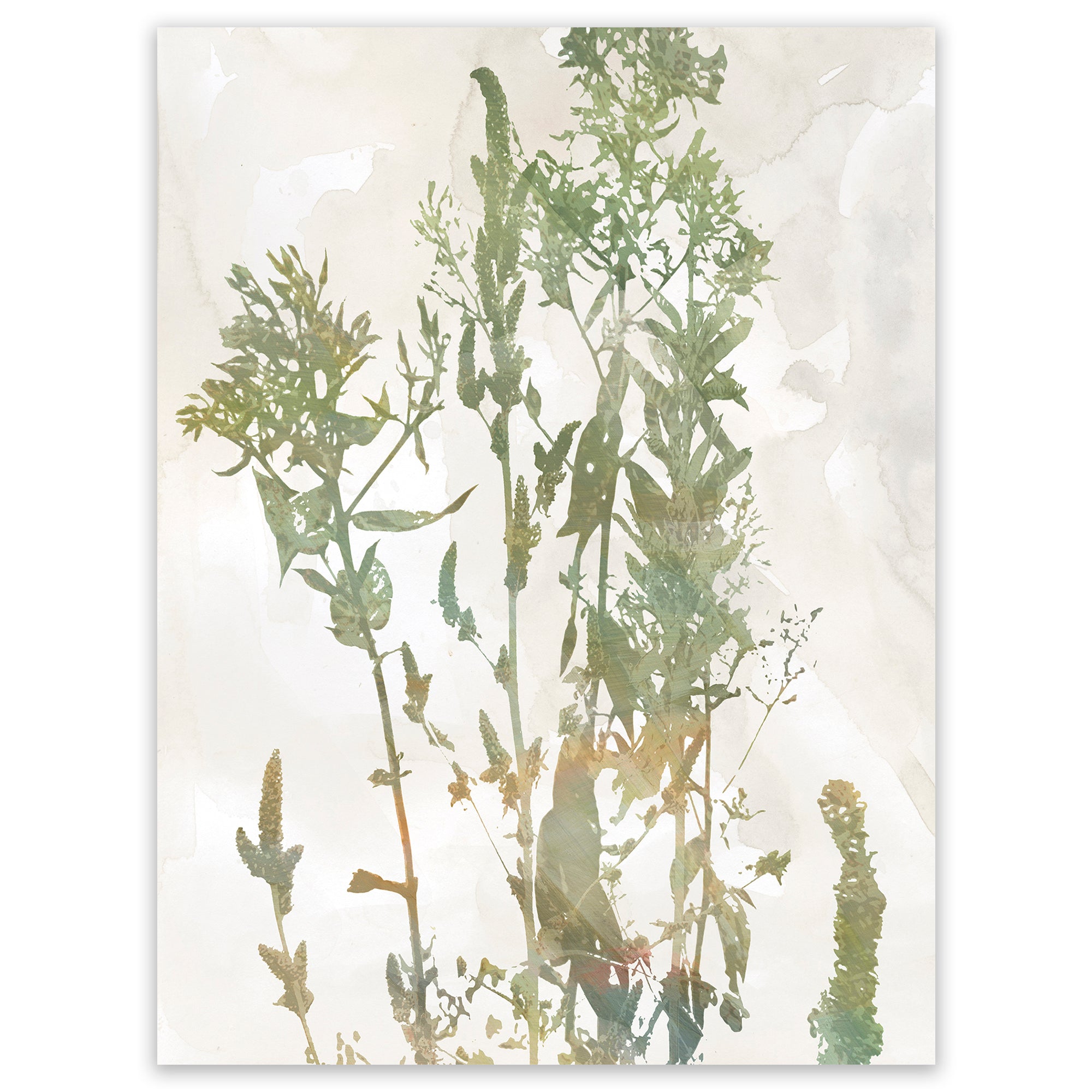 Untamed Garden I - Gallery-Wrapped Canvas Wall Art