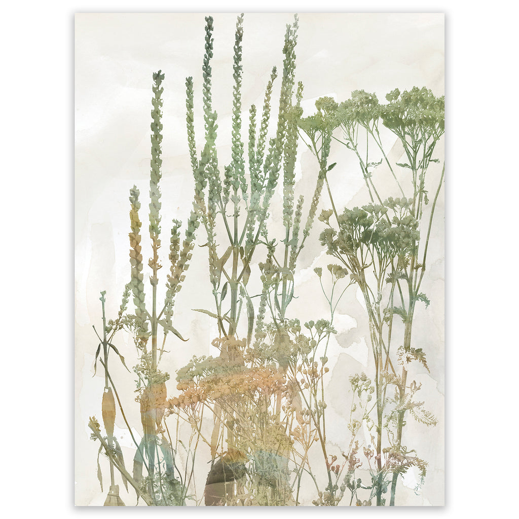 Untamed Garden II - Gallery-Wrapped Canvas Wall Art