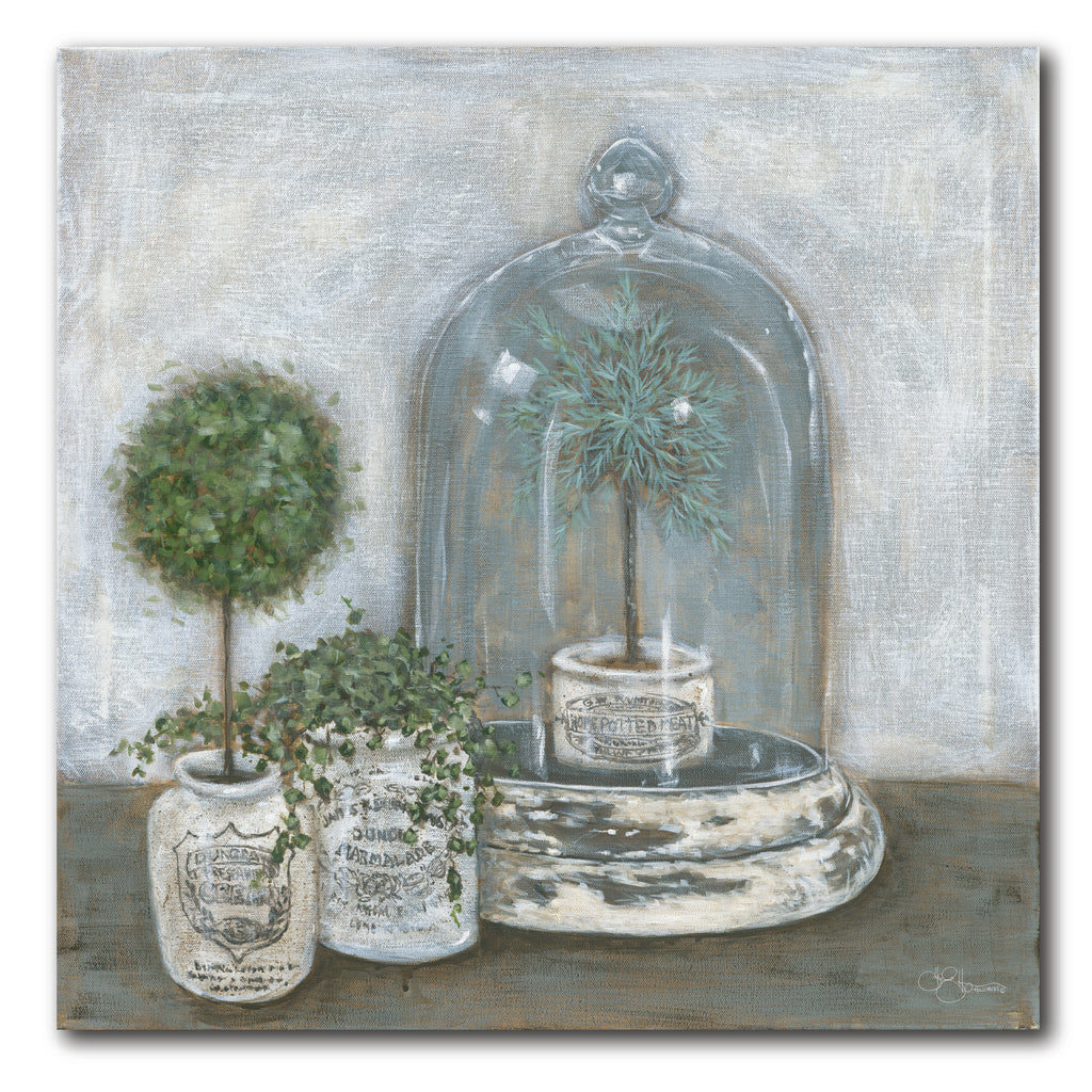 Little Topiaries - Gallery-Wrapped Canvas Wall Art