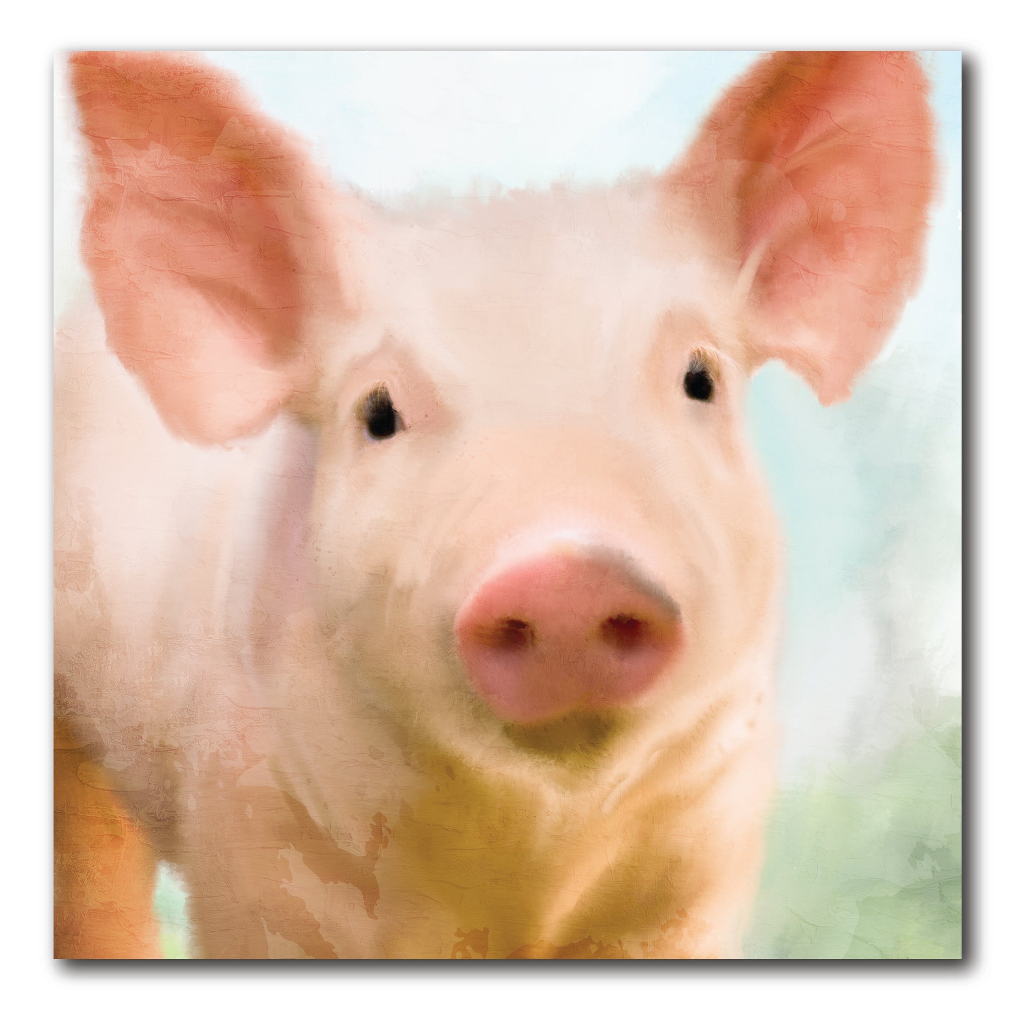 Baby Pig - Gallery-Wrapped Canvas Wall Art