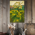 Morning Light - Gallery Wrapped Canvas
