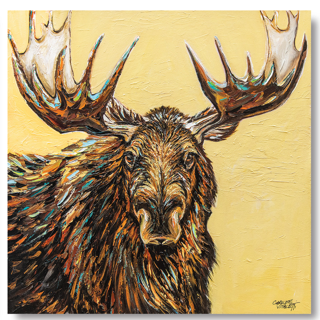 Large Moose - Gallery Wrapped Canvas