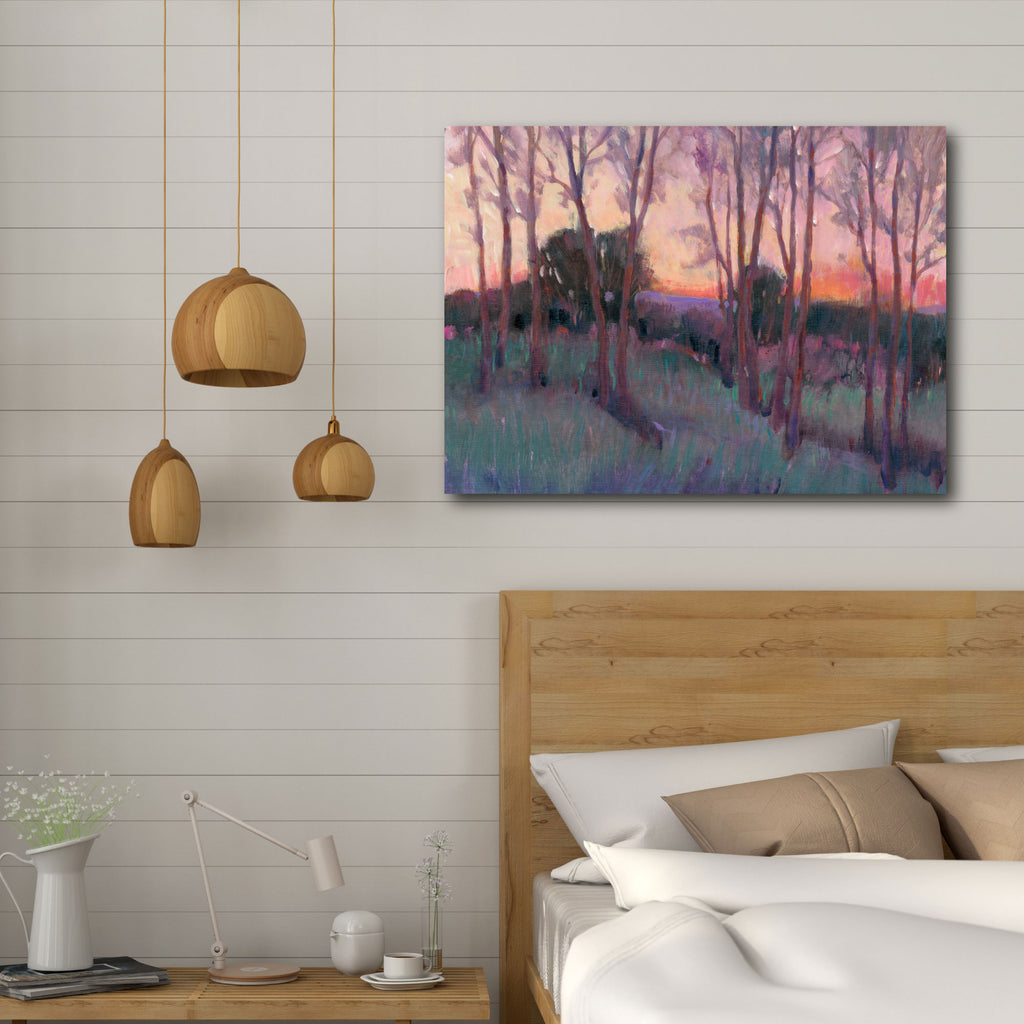 The Pink Sky II Gallery-Wrapped Canvas Wall Art