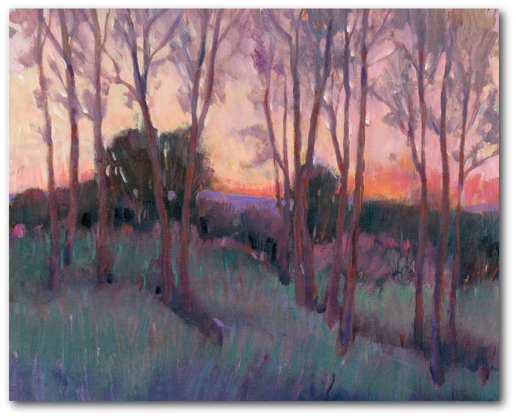 The Pink Sky II Gallery-Wrapped Canvas Wall Art
