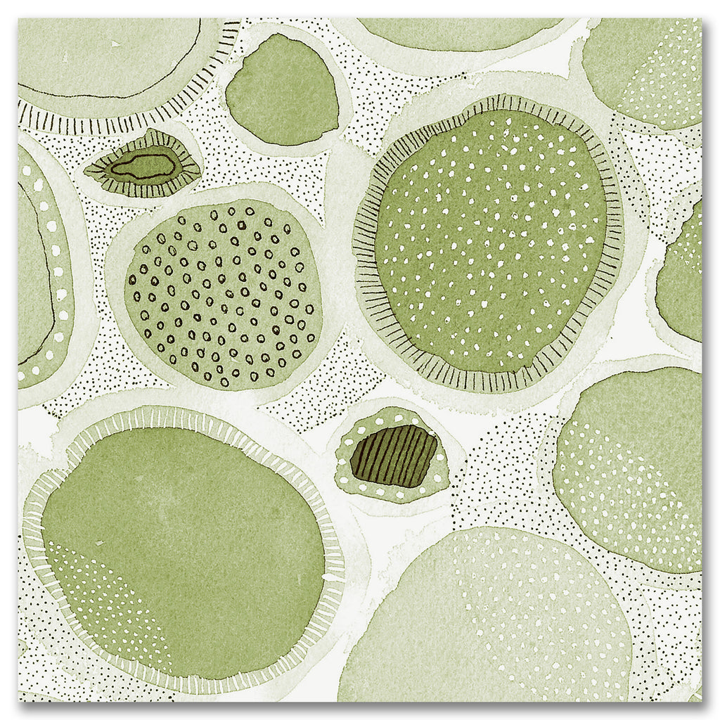 Nature Evolved I - Gallery Wrapped Canvas